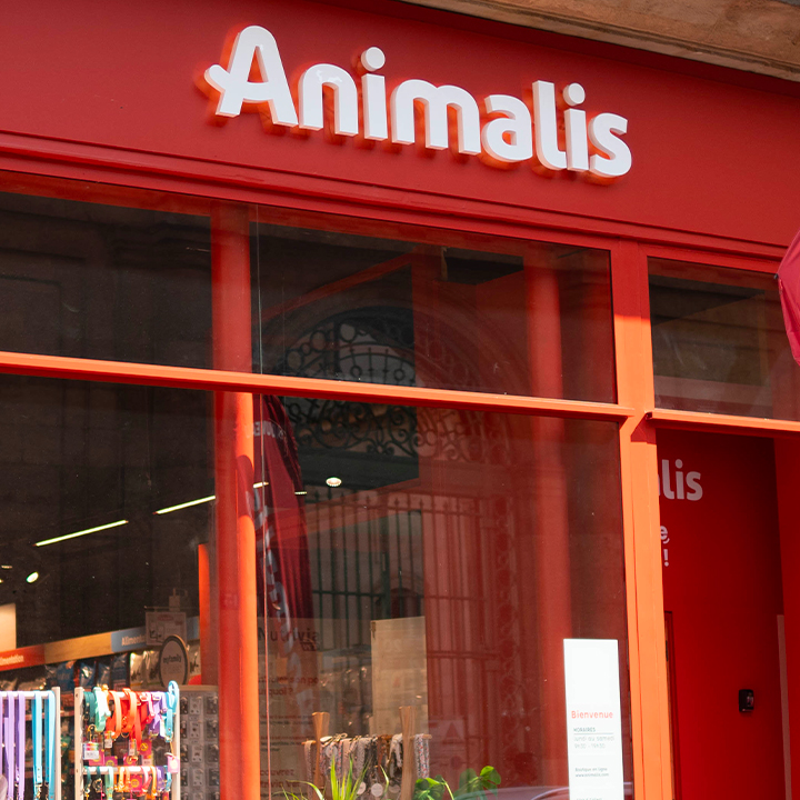 Animalis