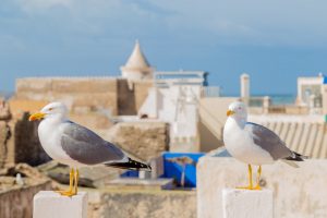 Le smartphone a bouleversé notre rapport aux souvenirs de vacances… aussi